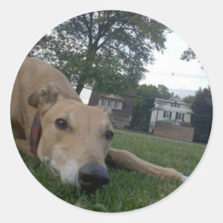 undefined classic round sticker