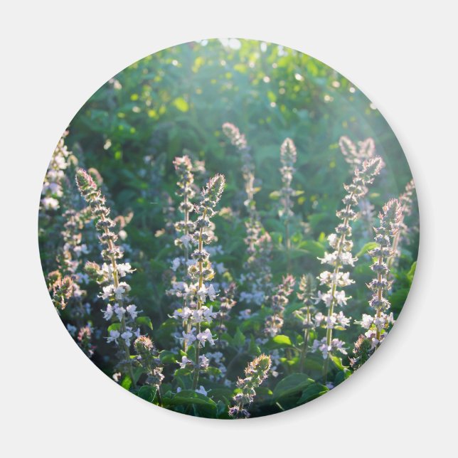 undefined magnet (Front)