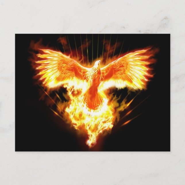 undefined postcard (Front)