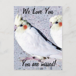 undefined postcard