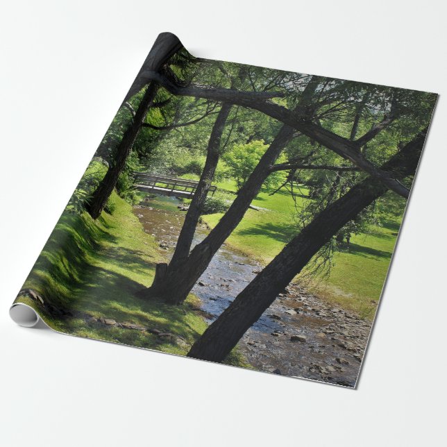 Under a Canopy of Willows Wrapping Paper (Unrolled)