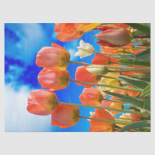 Under a Tulip Sky Tissue Paper