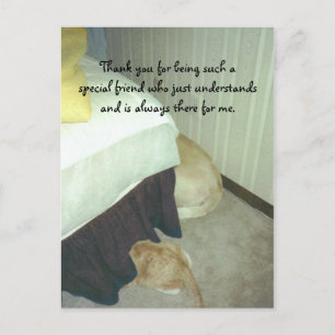 Under the Bed Postcard