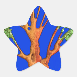 Under the Blue Sky: The Acacia Tree Collection Star Sticker