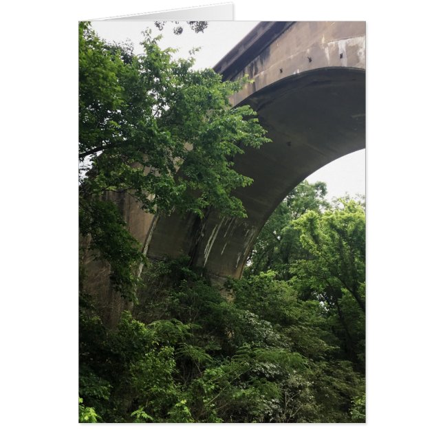 under the bridge (Front)