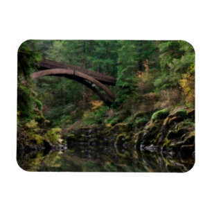 Under the Bridge Magnet