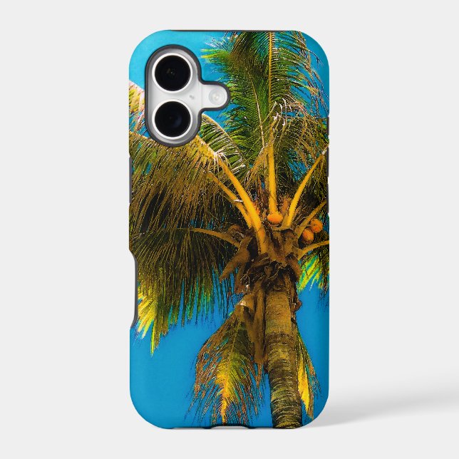 Under the Coconut Palm (Back)
