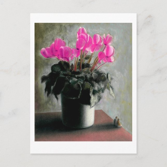Under The Cyclamen Postcard (Front)