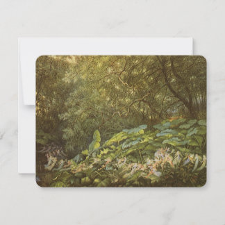 Under the Dock Leaves by Richard Doyle, Fairy Art