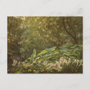 Under the Dock Leaves by Richard Doyle, Fairy Art Postcard