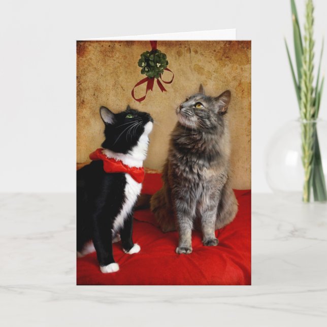 Under the Mistletoe Holiday Card (Front)