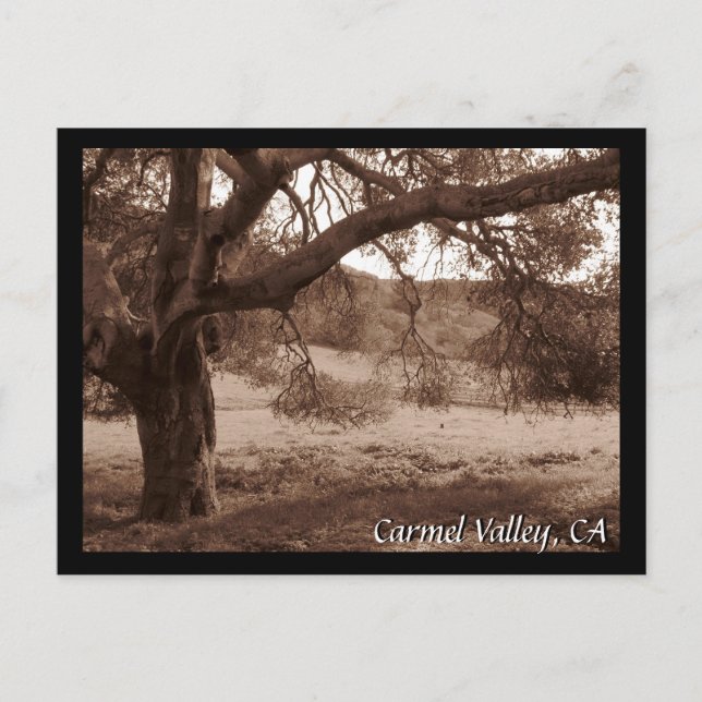 Under the Oaks Postcard (Front)