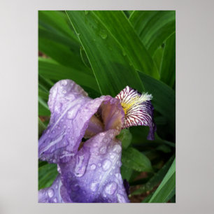under the rain poster
