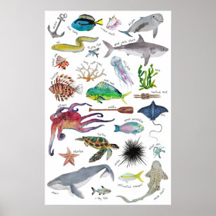 Under the Sea Alphabet Poster