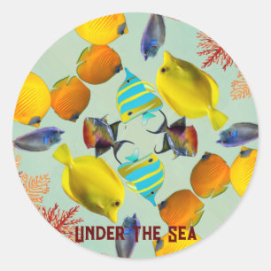 Under The Sea Corals Fish Blue Water Marine Life  Classic Round Sticker