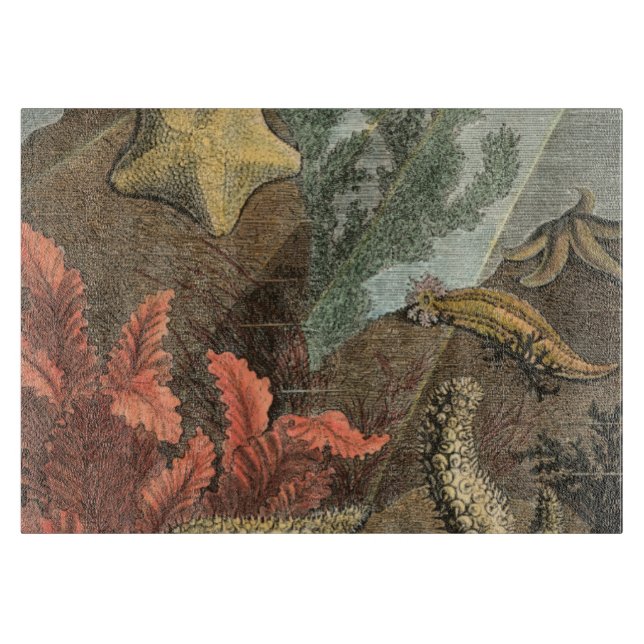 Under the Sea Cutting Board (Front)