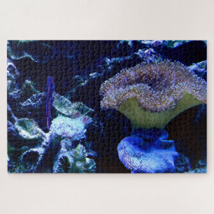 Under The Sea Jigsaw Puzzle