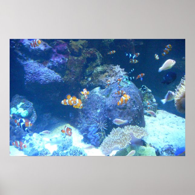 Under the sea Poster (Front)