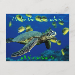 Under the sea - Sea Turtle Postcard
