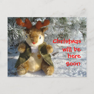 under the snowy pine  customize holiday postcard