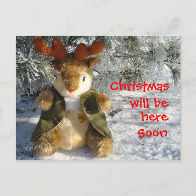 under the snowy pine  customize holiday postcard (Front)