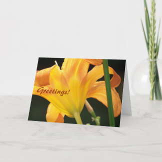 Under the Sun, Greetings! Card