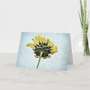 Under The Sunflower Blank Card