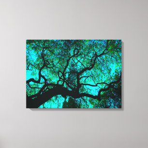Under The Tree in Turquoise III Canvas Print