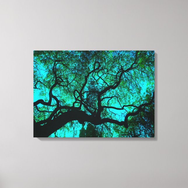 Under The Tree in Turquoise III Canvas Print (Front)