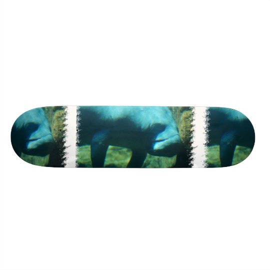 Under Water Manatee Skateboard