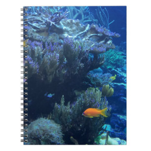Under Water Ocean World And Summer Story Notebook