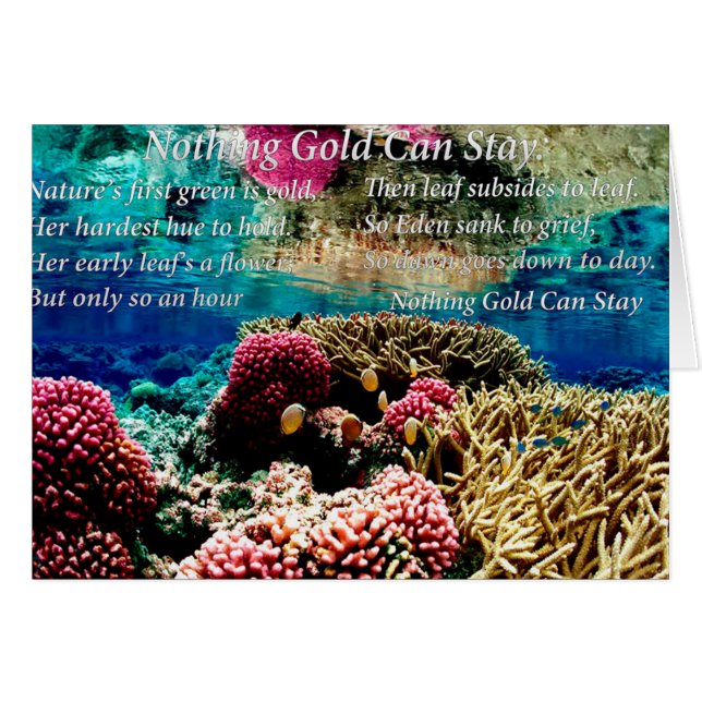 Under Water sea coral and two clown fish (Front Horizontal)