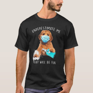 Underestimate Me That Will Be Fun Funny Saying Lab T-Shirt