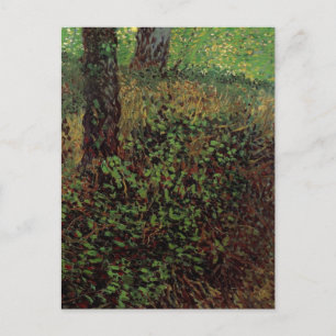 Undergrowth by Vincent van Gogh Postcard