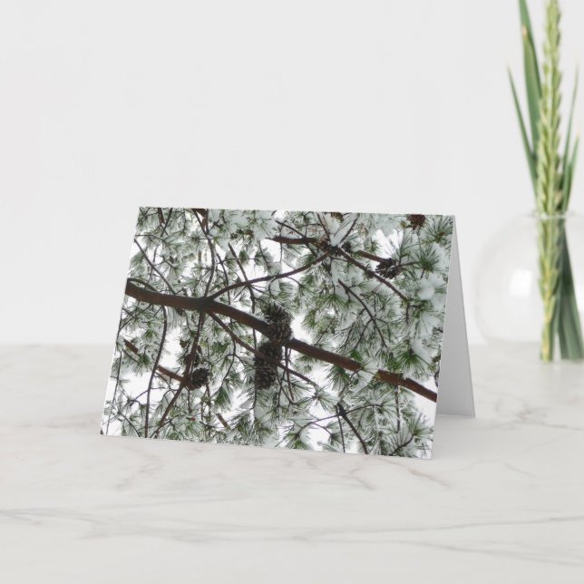 Underneath the Snow Covered Pine Tree Winter Photo Card (Front)