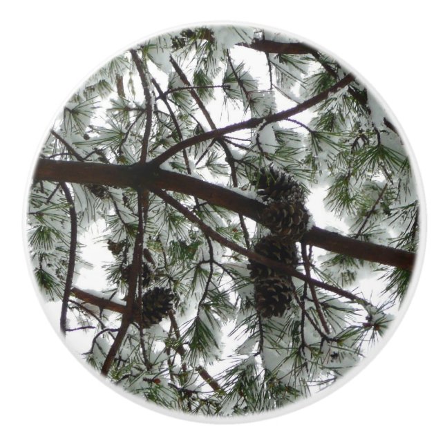 Underneath the Snow Covered Pine Tree Winter Photo Ceramic Knob (Front)