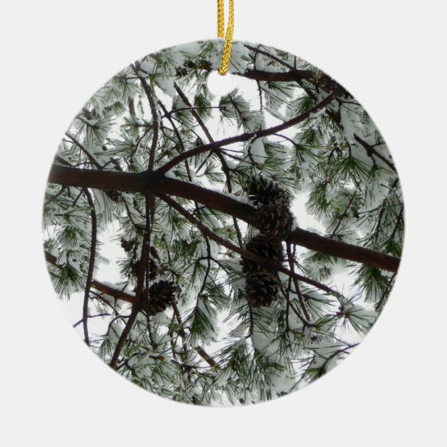 Underneath the Snow Covered Pine Tree Winter Photo Ceramic Ornament (Front)