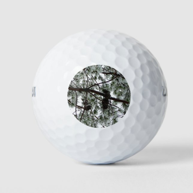 Underneath the Snow Covered Pine Tree Winter Photo Golf Balls (Front)