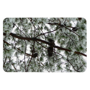 Underneath the Snow Covered Pine Tree Winter Photo Magnet
