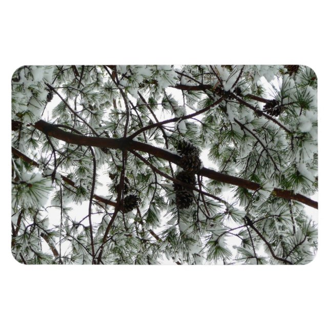 Underneath the Snow Covered Pine Tree Winter Photo Magnet (Horizontal)