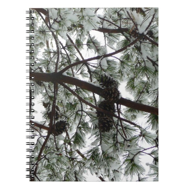 Underneath the Snow Covered Pine Tree Winter Photo Notebook (Front)
