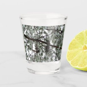 Underneath the Snow Covered Pine Tree Winter Photo Shot Glass