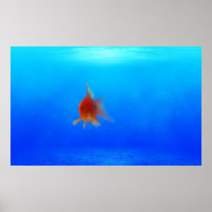 Undersea Aquatic Poster