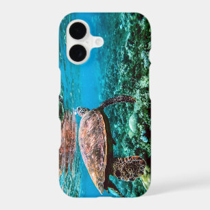 Undersea Tropical Sea Turtle