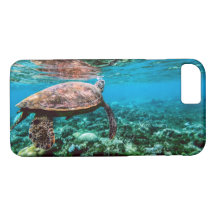Undersea Tropical Sea Turtle