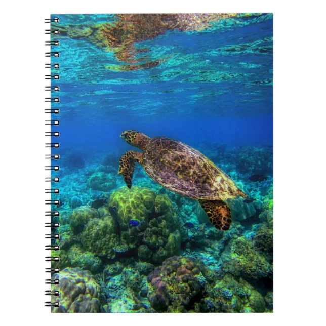 Undersea Tropical Sea Turtle Coral Notebook (Front)