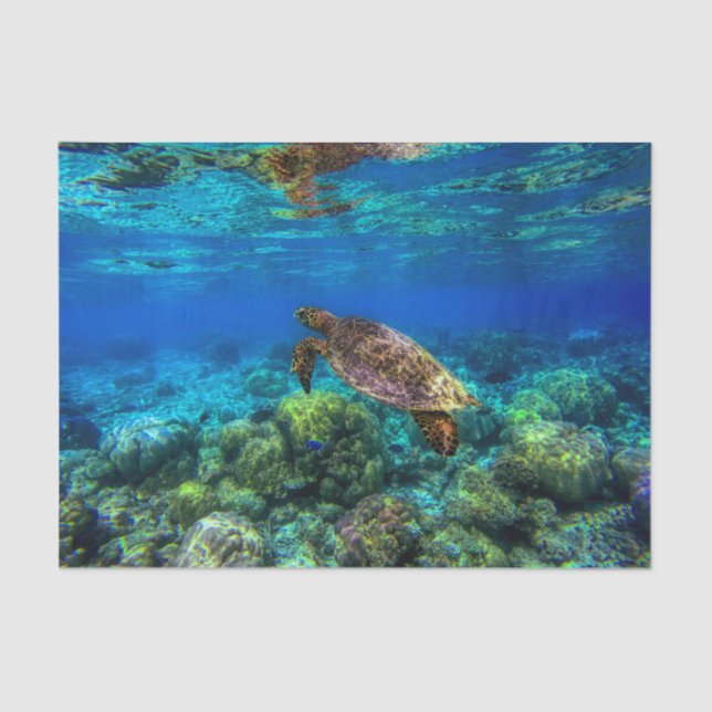 Undersea Tropical Sea Turtle Coral Tissue Paper (Front)