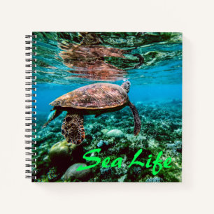 Undersea Tropical Sea Turtle Notebook