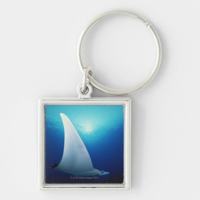 Underside of a manta ray keychain (Front)