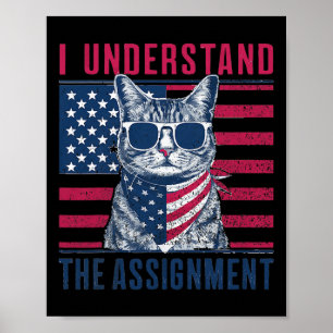 Understand The Ignment Kamala Harris Childless Cat Poster